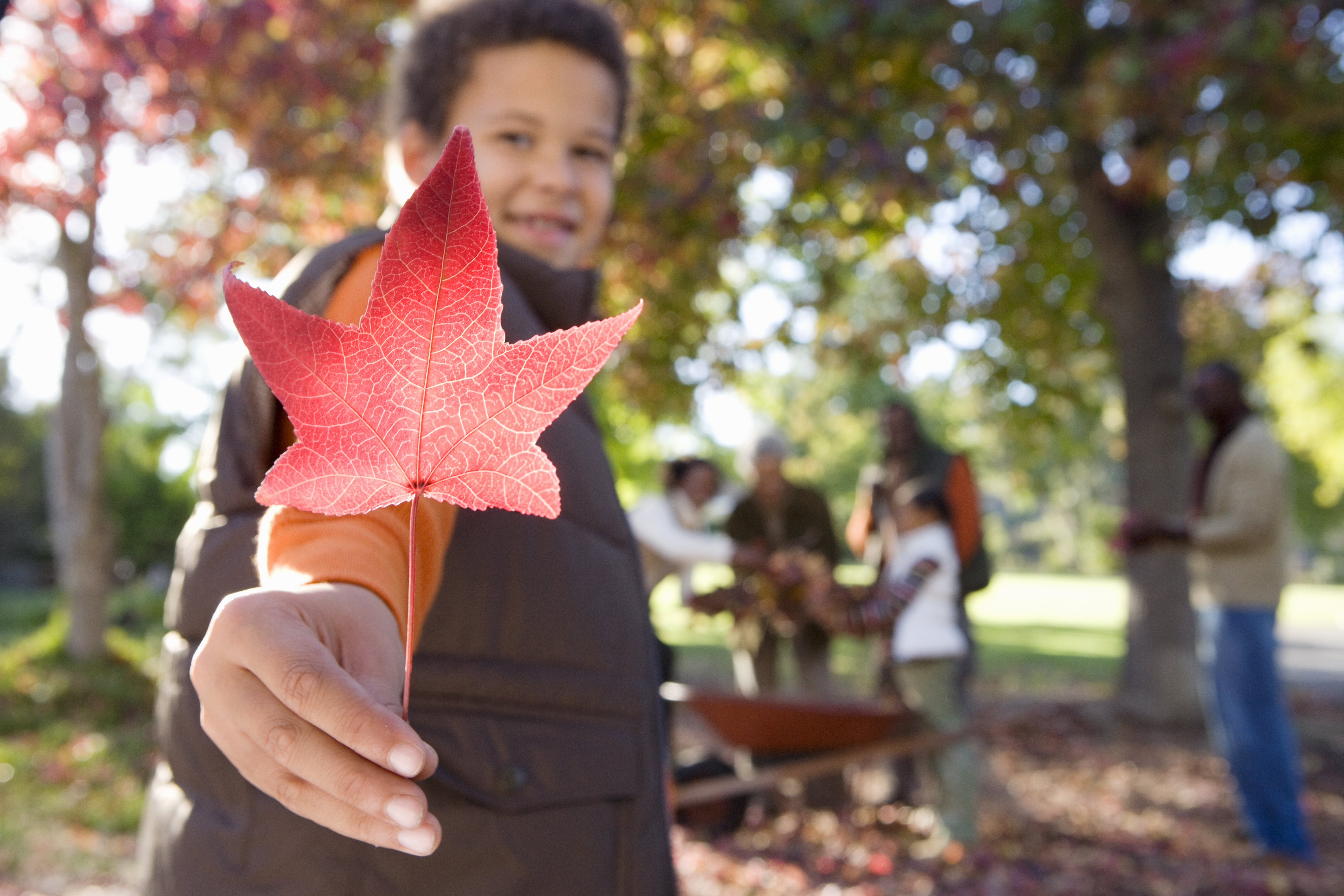 boy holding red leaf