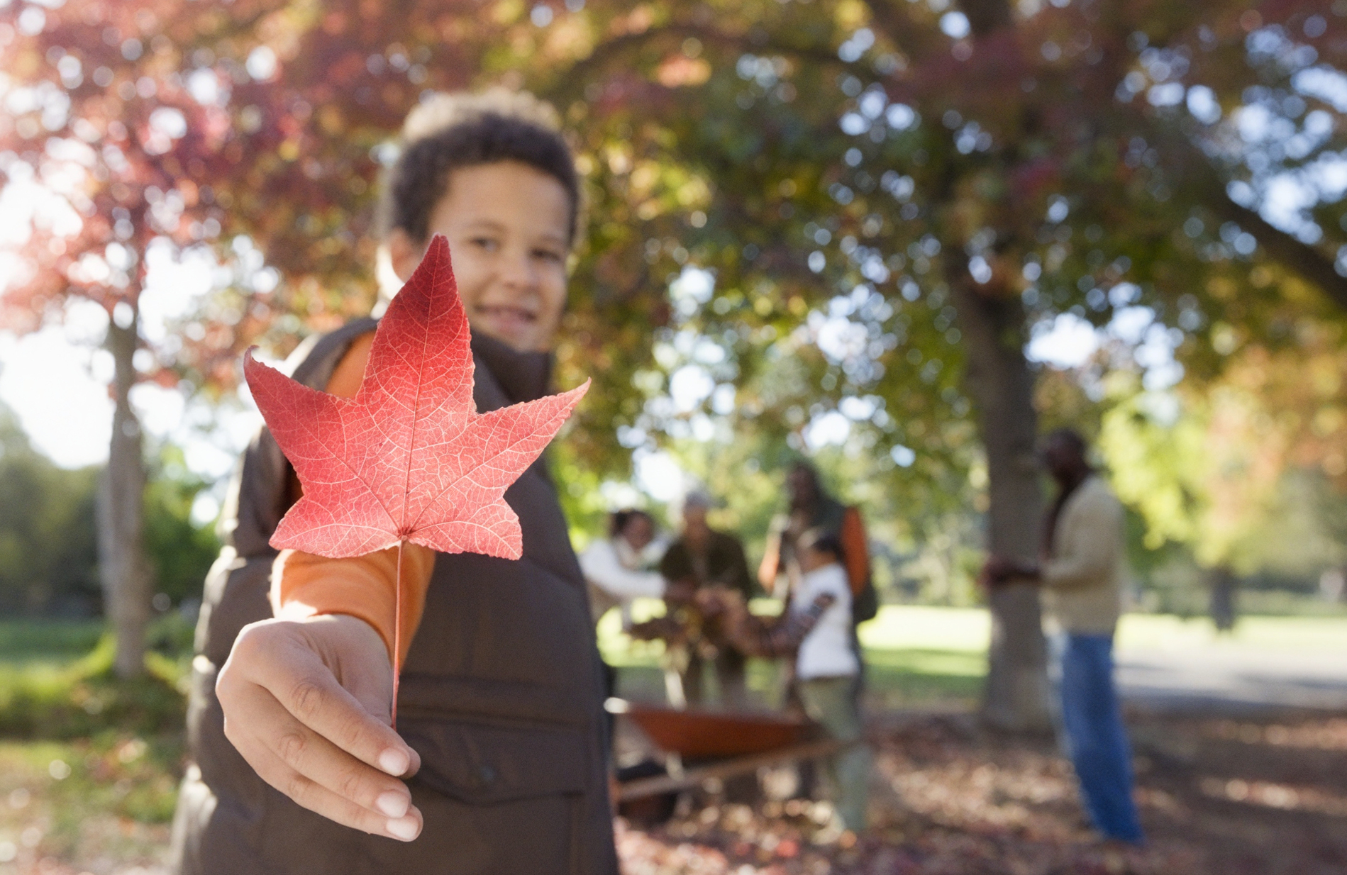 Boy holding red leaf