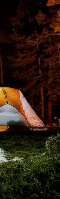 A tent at night in a forest