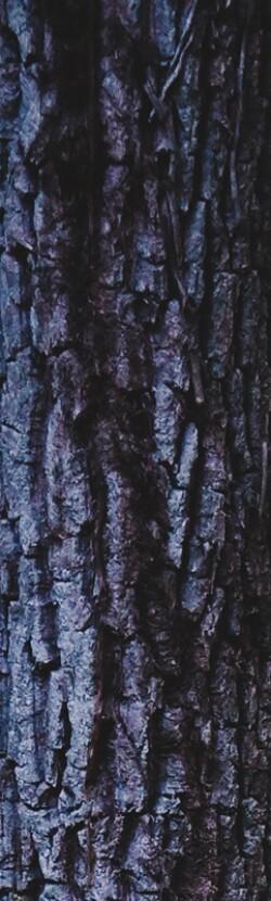 Tree bark